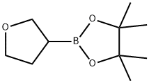 TETRAHYDROFURAN-3-BORONIC ACID PINACOL ESTER Structural