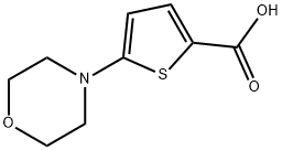 5-Morpholinothiophene-2-carboxylic acid