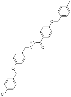 SALOR-INT L387681-1EA