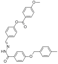 SALOR-INT L457248-1EA