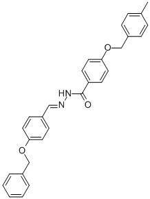 SALOR-INT L400823-1EA