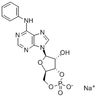 6-PHE-CAMP SODIUM SALT