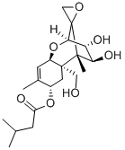 T-2 TRIOL Structural