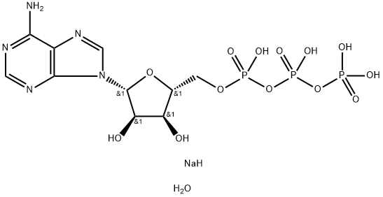 ADENOSINE 5'-TRIPHOSPHATE  DISODIUM SAL& Structural