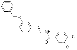 SALOR-INT L488429-1EA