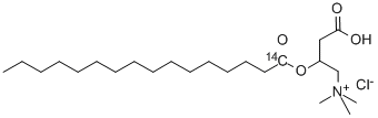 PALMITOYL CARNITINE CHLORIDE, L-, [PALMITOYL-1-14C] Structural