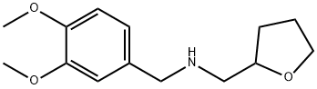 (3,4-DIMETHOXY-BENZYL)-(TETRAHYDRO-FURAN-2-YL-METHYL)-AMINE