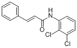 SALOR-INT L448222-1EA