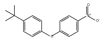 4-NITRO-4'-T-BUTYL DIPHENYL ETHER Structural