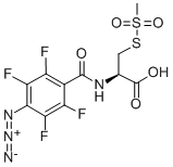 4-Azido-2,3,5,6-tetrafluorobenzamidocysteine Methanethiosulfonate