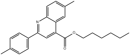 SALOR-INT L207616-1EA