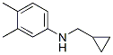 Benzenamine, N-(cyclopropylmethyl)-3,4-dimethyl- (9CI) Structural