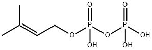GAMMA GAMMA-DIMETHYLALLYL PYROPHOSPHATE& Structural
