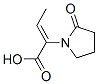 1-Pyrrolidineaceticacid,alpha-ethylidene-2-oxo-,(alphaZ)-(9CI)