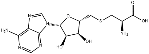 S-ADENOSYL-L-CYSTEINE