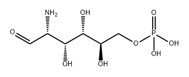 D-GLUCOSAMINE 6-PHOSPHATE Structural