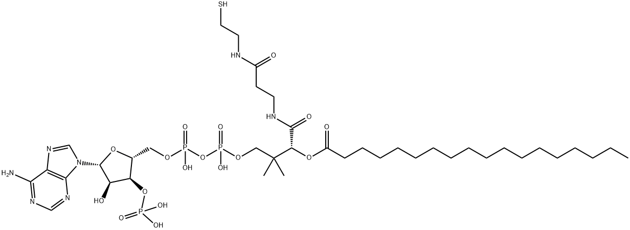 STEAROYL COENZYME A Structural