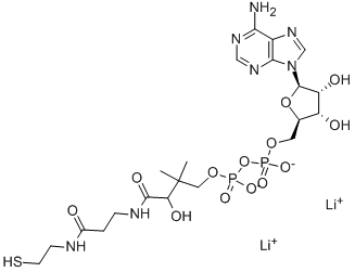 3'-DEPHOSPHOCOENZYME A