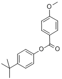 SALOR-INT L448060-1EA