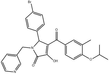 SALOR-INT L434922-1EA