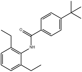 AURORA 10219 Structural