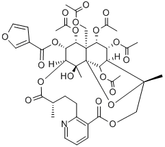 WILFORGINE