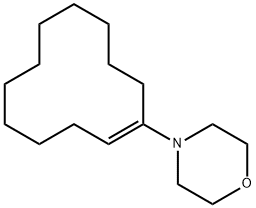 1-Morpholinocyclododecene