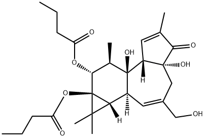 PHORBOL 12,13-DIBUTYRATE