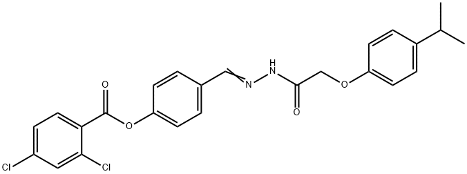 SALOR-INT L233986-1EA Structural