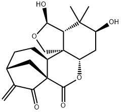 enmein Structural