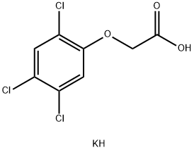 2,4,5-TRICHLOROPHENOXYACETIC ACID POTASSIUM SALT