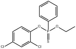 EPBP Structural