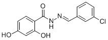 SALOR-INT L462888-1EA