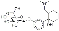 O-Desmethyl Tramadol β-D-Glucuronide Structural