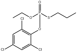 RH 218 Structural