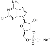 2-CHLOROADENOSINE-3',5'-CYCLIC MONOPHOSPHATE SODIUM SALT