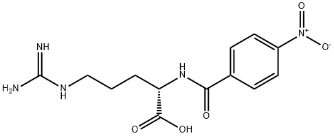 (S)-5-GUANIDINO-2-(4-NITROBENZAMIDO)PENTANOIC ACID