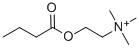 butyrylcholine Structural