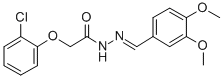 SALOR-INT L236446-1EA Structural