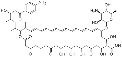 LEVORIN A2 Structural