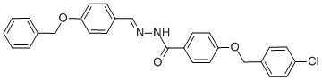 SALOR-INT L457566-1EA