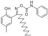 SALOR-INT L497576-1EA