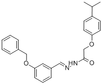 SALOR-INT L461792-1EA