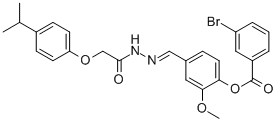 SALOR-INT L235318-1EA