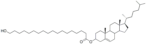 CHOLESTERYL HYDROXYSTEARATE Structural