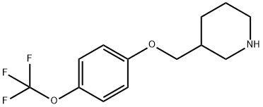 3-([4-(TRIFLUOROMETHOXY)PHENOXY]METHYL)PIPERIDINE