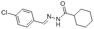 SALOR-INT L240397-1EA