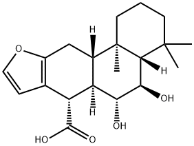 vouacapan Structural