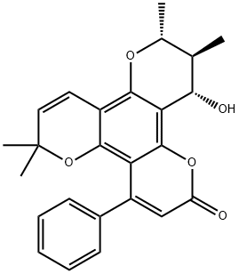 inophyllum B