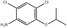 2,4-DICHLORO-5-ISOPROPOXYANILINE Structural